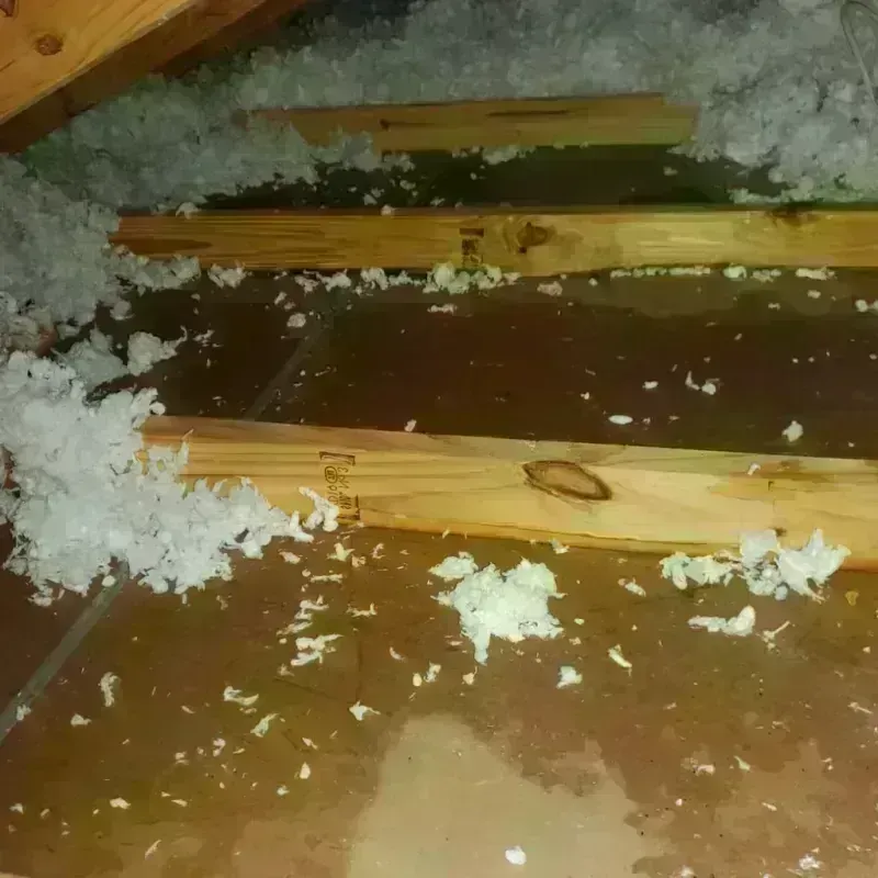 Attic Water Damage in King Cove, AK